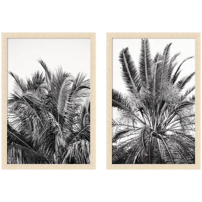Palm No.
13 & 15 2 Piece Framed Wall Art Print Set by Alicia Bock