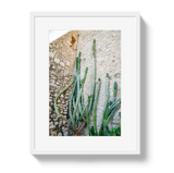 Cactus Capri by Johnny Vacay - product image 2 for Resin Society