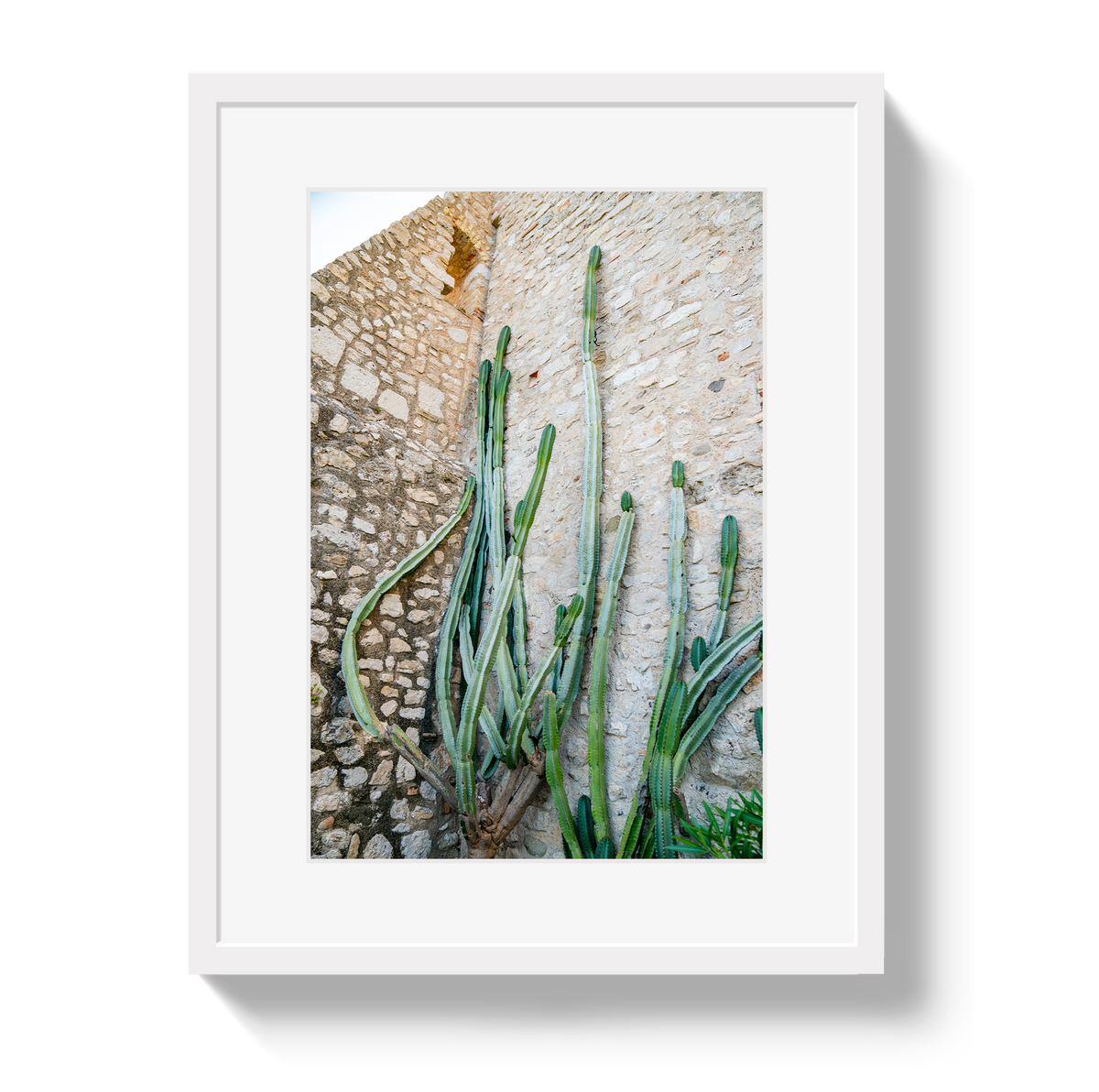 Cactus Capri by Johnny Vacay - product image 2 for Resin Society