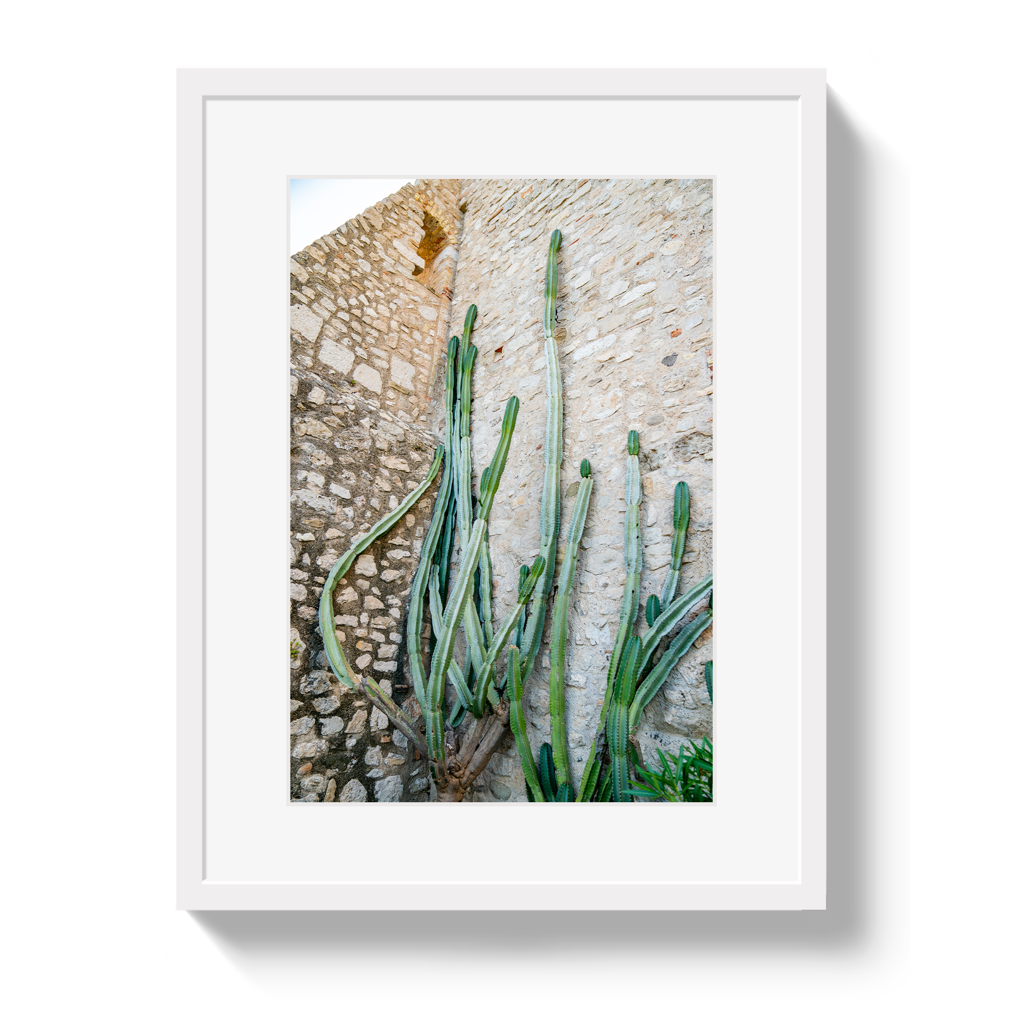 Cactus Capri by Johnny Vacay - product image 2 for Resin Society