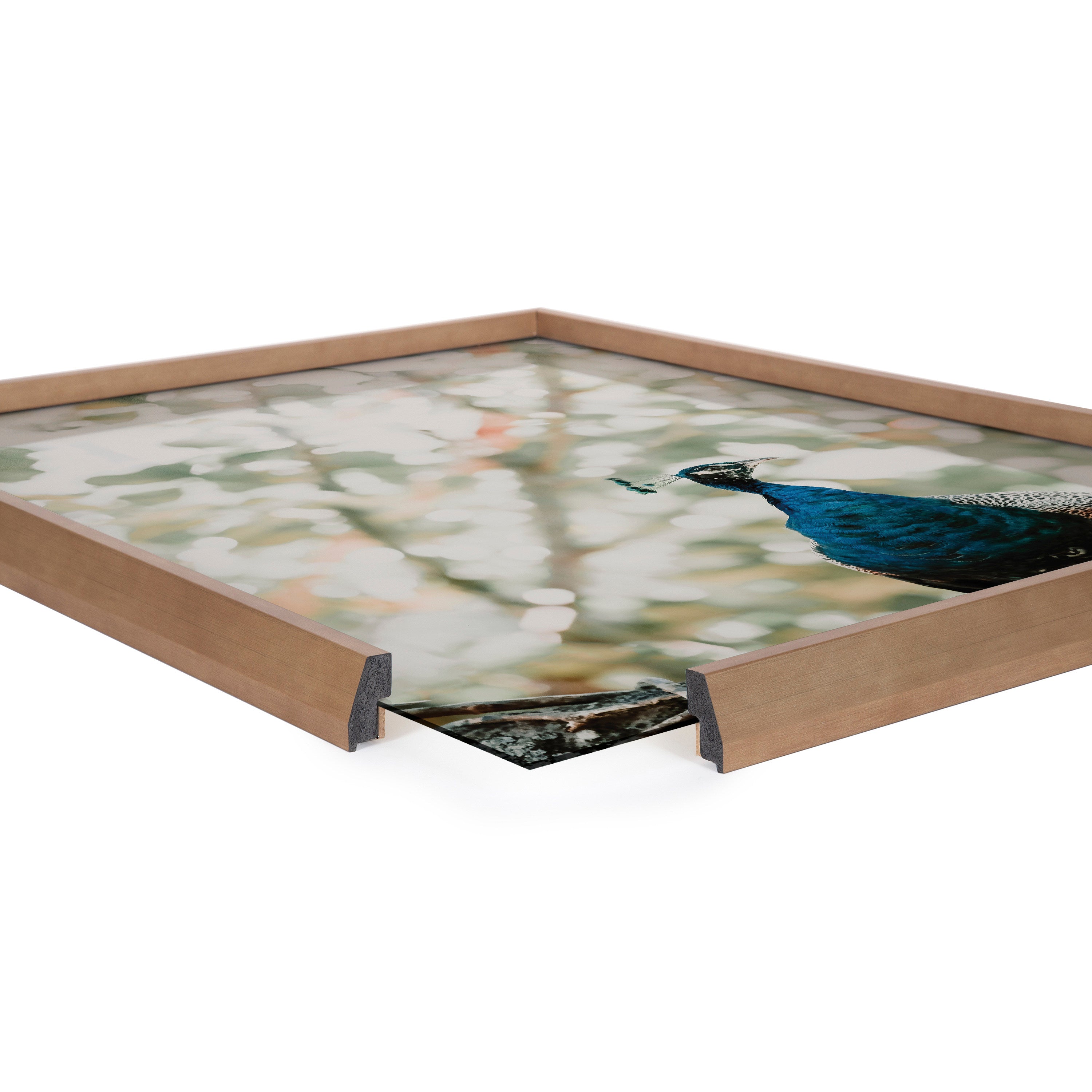 Blake Peacock Framed Printed Glass by Alicia Abla by kateandlaurel - product image 3 for Resin Society