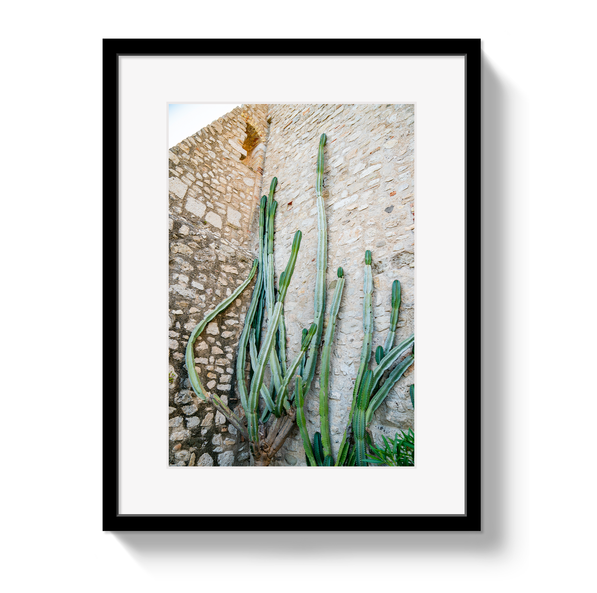 Cactus Capri by Johnny Vacay - main product image for Resin Society