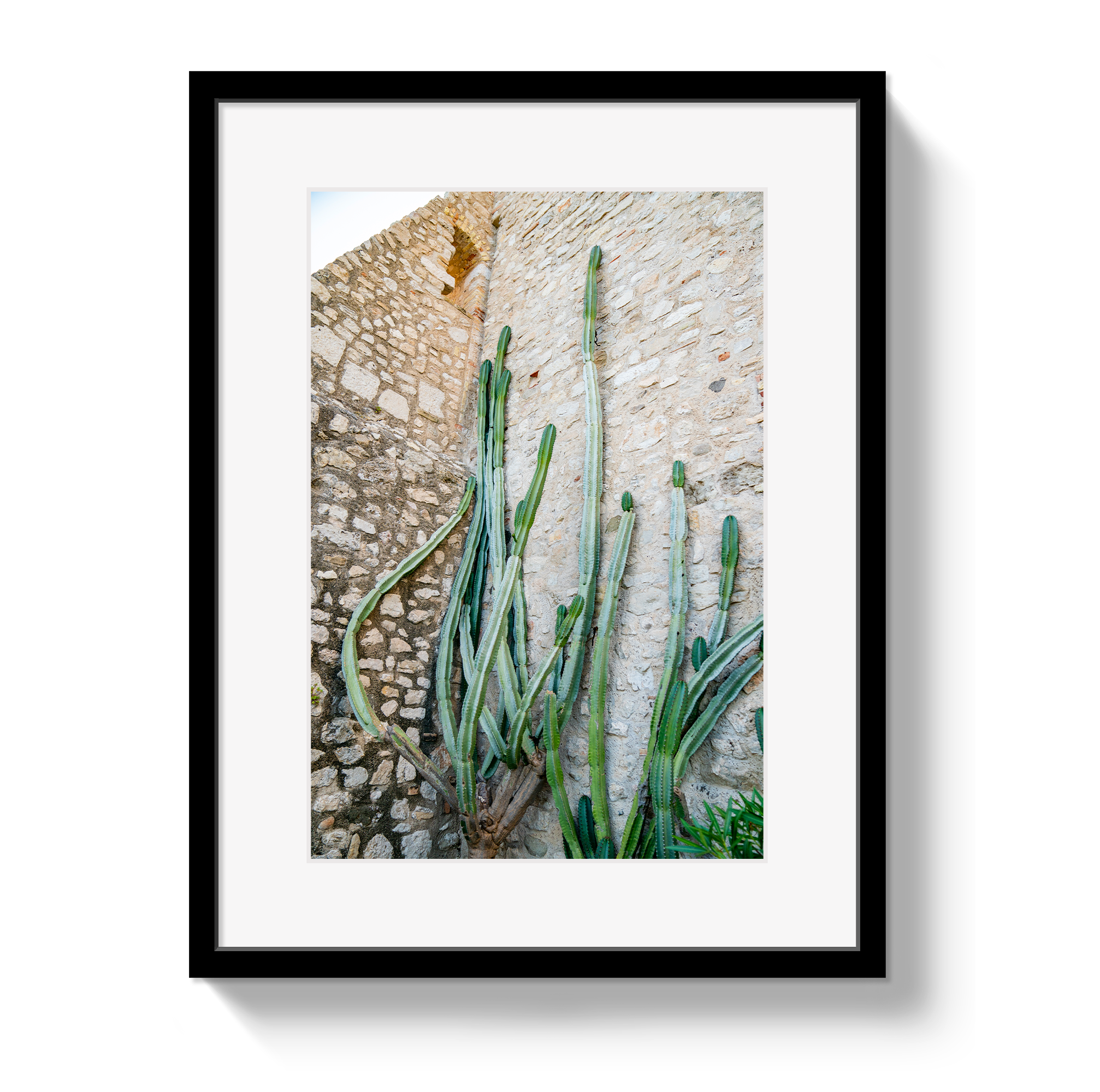 Cactus Capri by Johnny Vacay - main product image for Resin Society