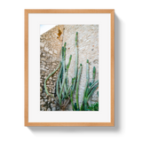 Cactus Capri by Johnny Vacay - product image 3 for Resin Society