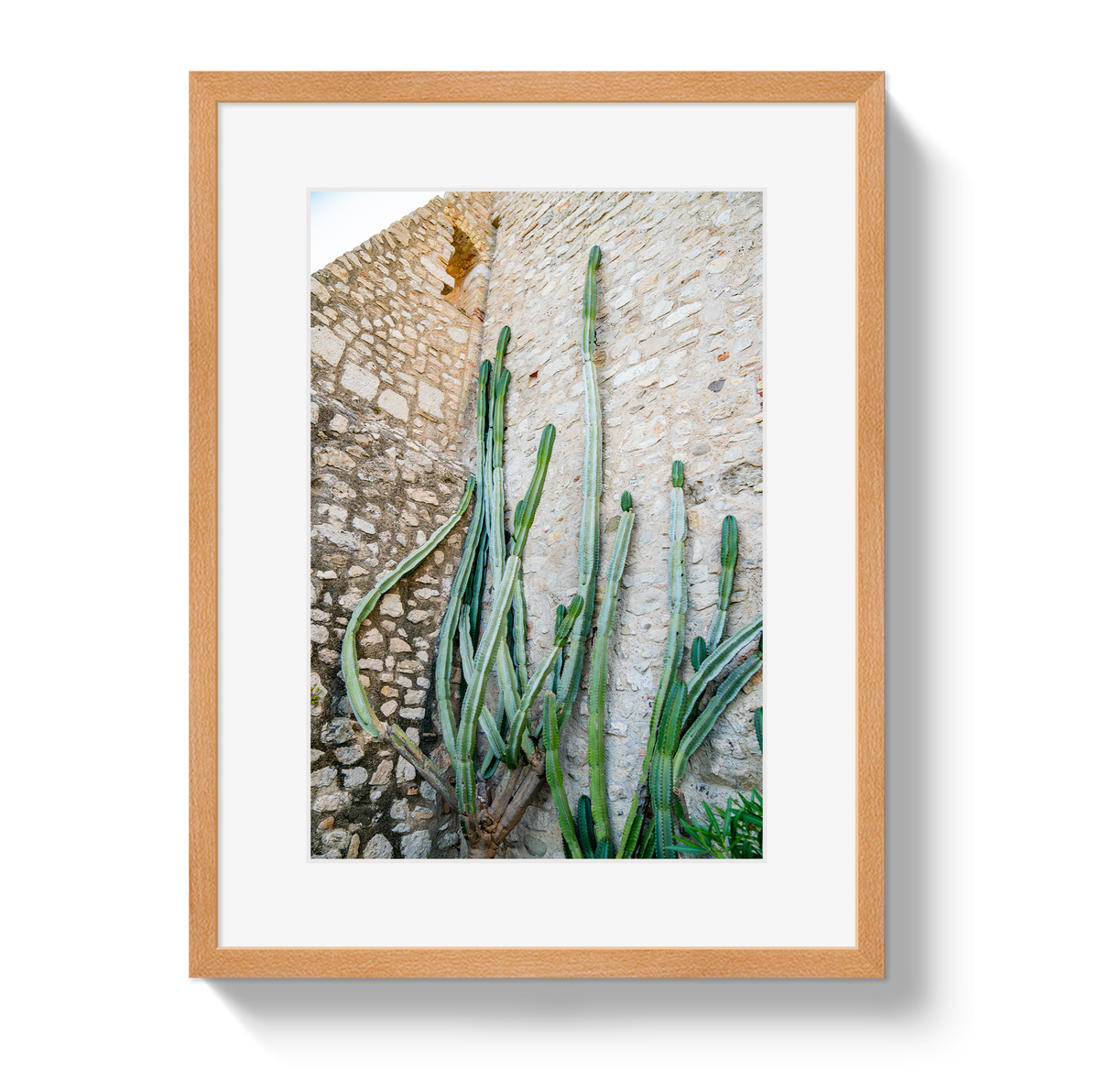 Cactus Capri by Johnny Vacay - product image 3 for Resin Society