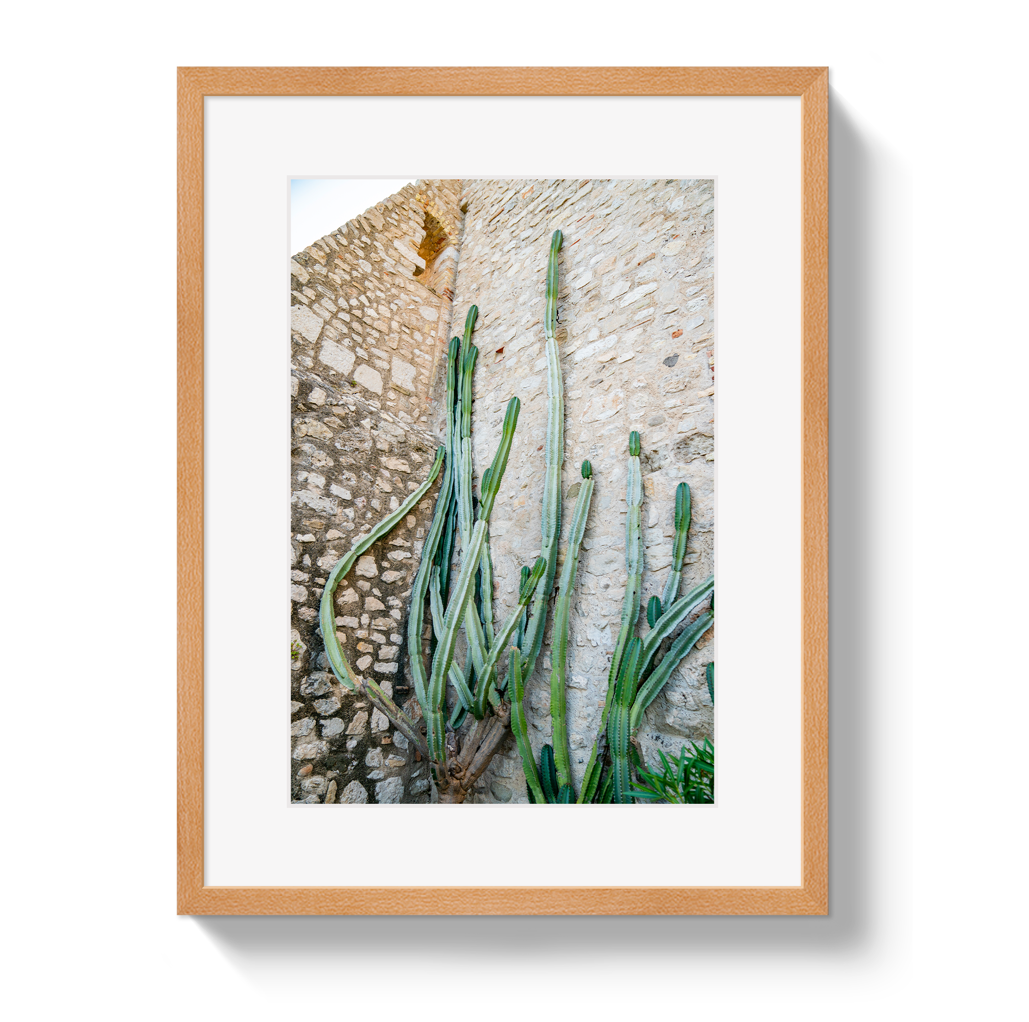 Cactus Capri by Johnny Vacay - product image 3 for Resin Society