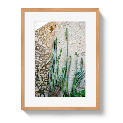 Cactus Capri by Johnny Vacay - product image 3 for Resin Society