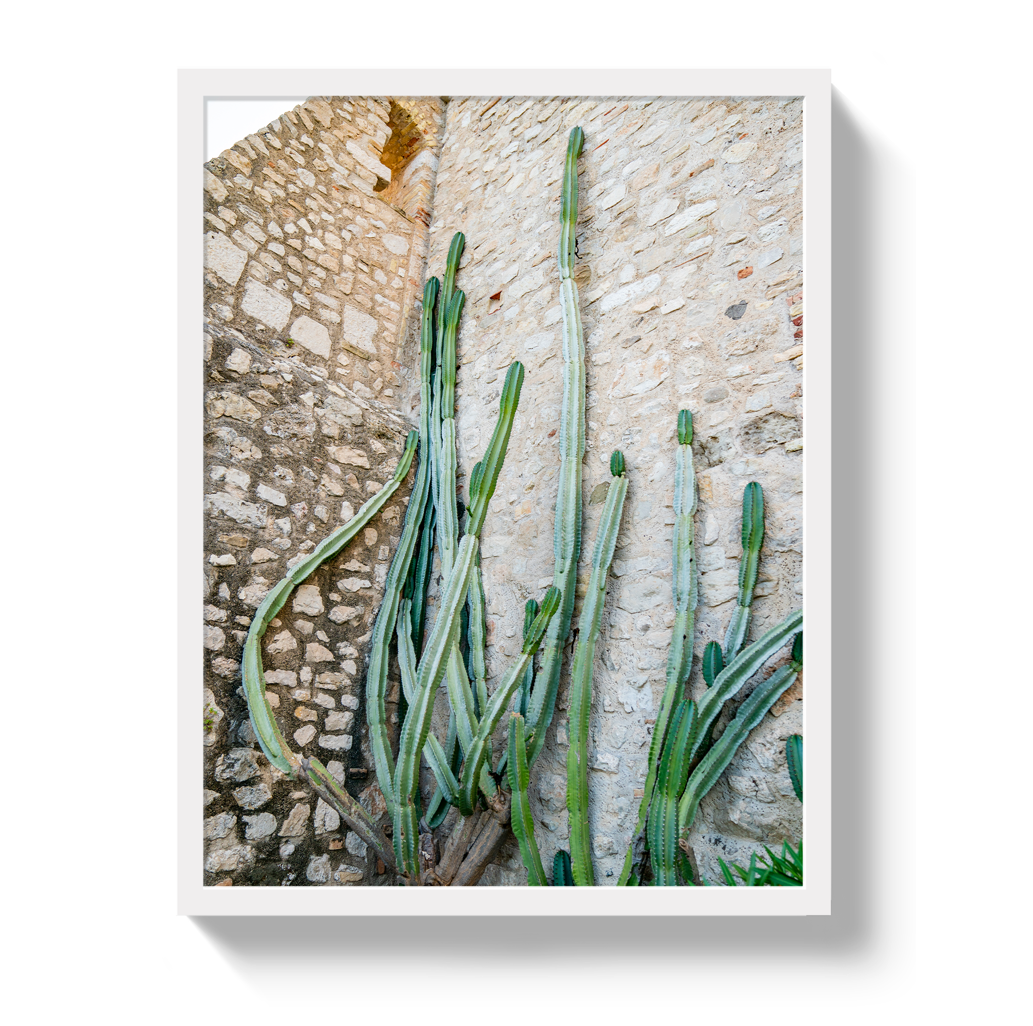 Cactus Capri by Johnny Vacay - product image 5 for Resin Society