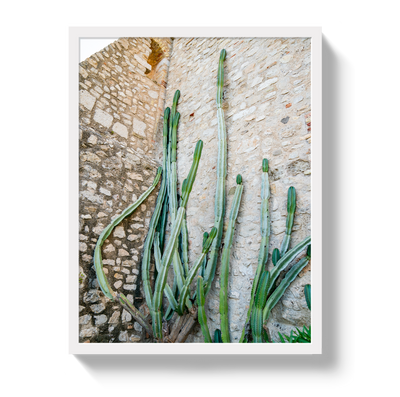 Cactus Capri by Johnny Vacay - product image 5 for Resin Society