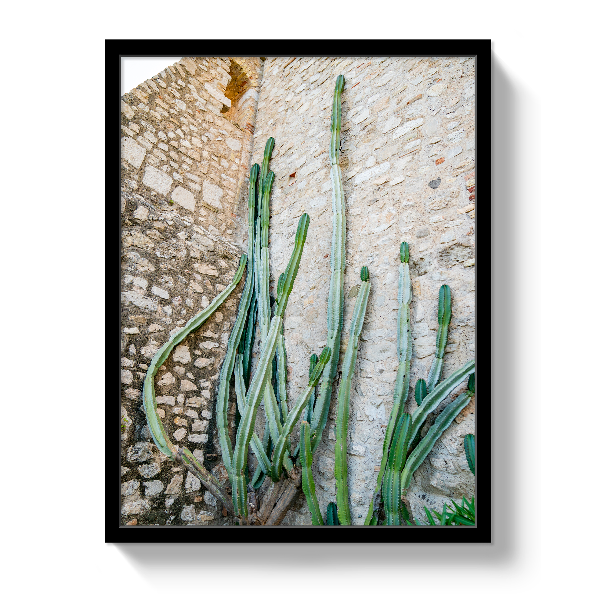 Cactus Capri by Johnny Vacay - product image 4 for Resin Society