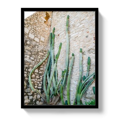 Cactus Capri by Johnny Vacay - product image 4 for Resin Society
