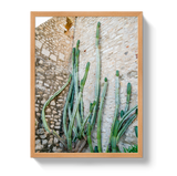 Cactus Capri by Johnny Vacay - product image 6 for Resin Society