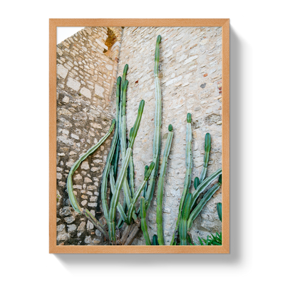 Cactus Capri by Johnny Vacay - product image 6 for Resin Society