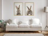 Two framed canvas art pieces above a white sofa, one showing a gray bunny's face and upright ears, the other its back with a fluffy tail on a neutral background.