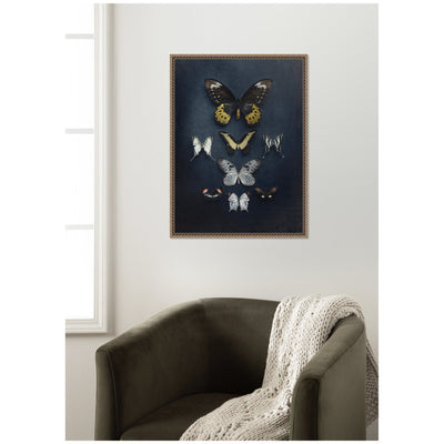 Butterfly Study Dark by Emiko and Mark Franzen F2 Images Framed Canvas Wall Art Print