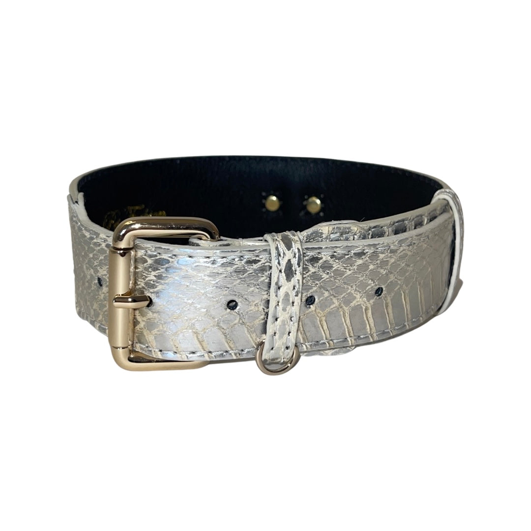 Silver snake-patterned collar with smooth black inner lining and gold metal buckle and strap holder, shown against a white background.