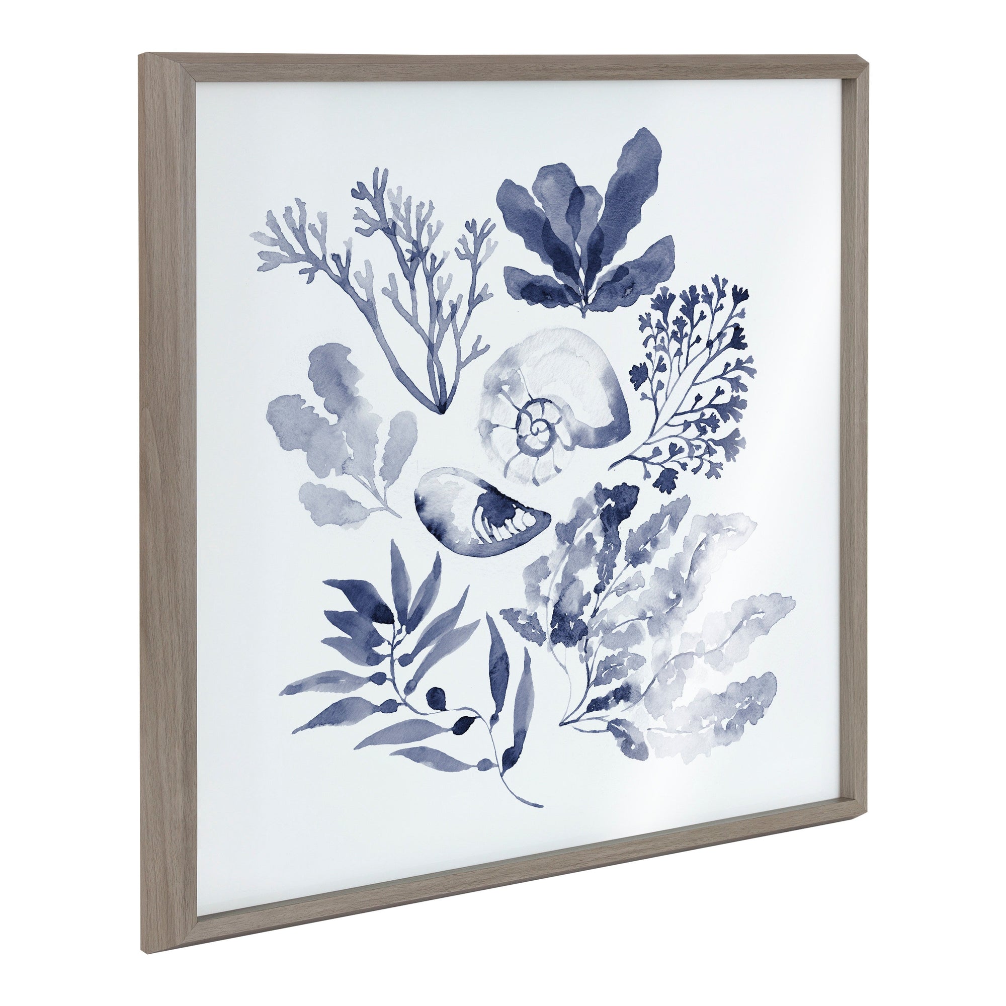 Blake Indigo Shells Framed Printed Acrylic by Sara Berrenson by kateandlaurel - main product image for Resin Society