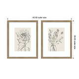 Two framed botanical line art prints featuring protea sketches, each with light beige backgrounds and natural wood frames, measuring 43 by 26 inches outer size.