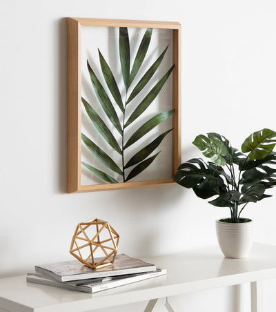 Blake Botanical 5F Framed Printed Glass by Amy Peterson