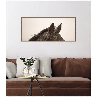 Horse Ears Panel by Crystal Lynn Collins Framed Canvas Wall Art Print
