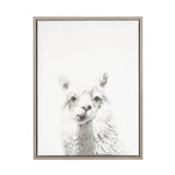 Black and white framed canvas print featuring a close-up of a white alpaca looking directly forward on a plain white background.
