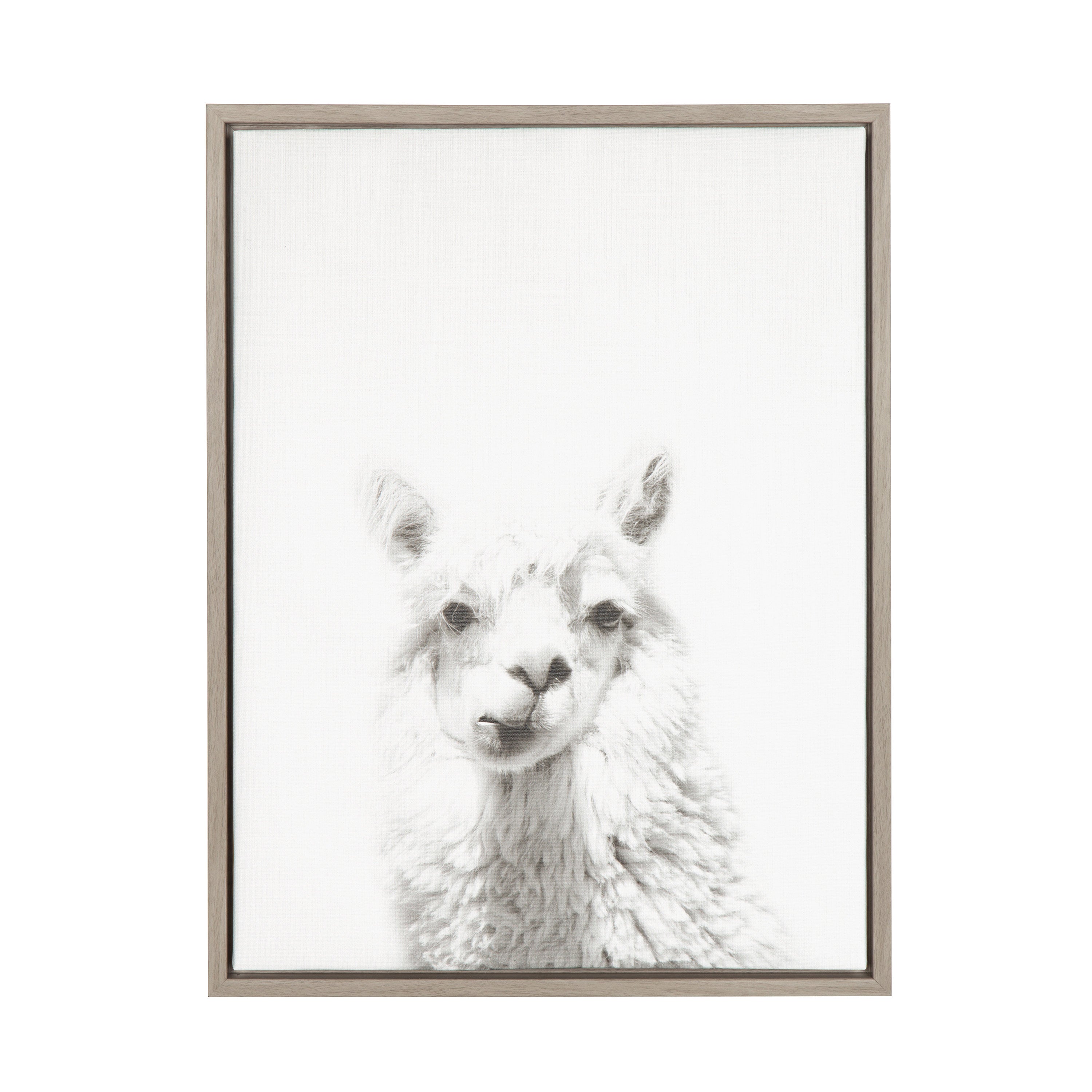 Sylvie Alpaca Framed Canvas by Simon Te of Tai Prints