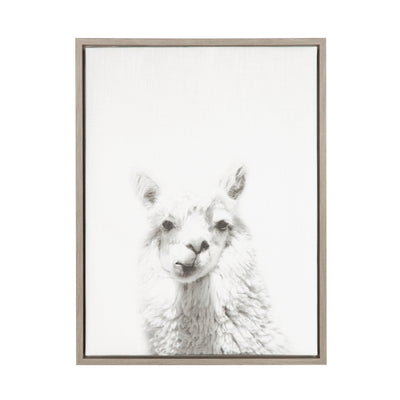 Sylvie Alpaca Framed Canvas by Simon Te of Tai Prints