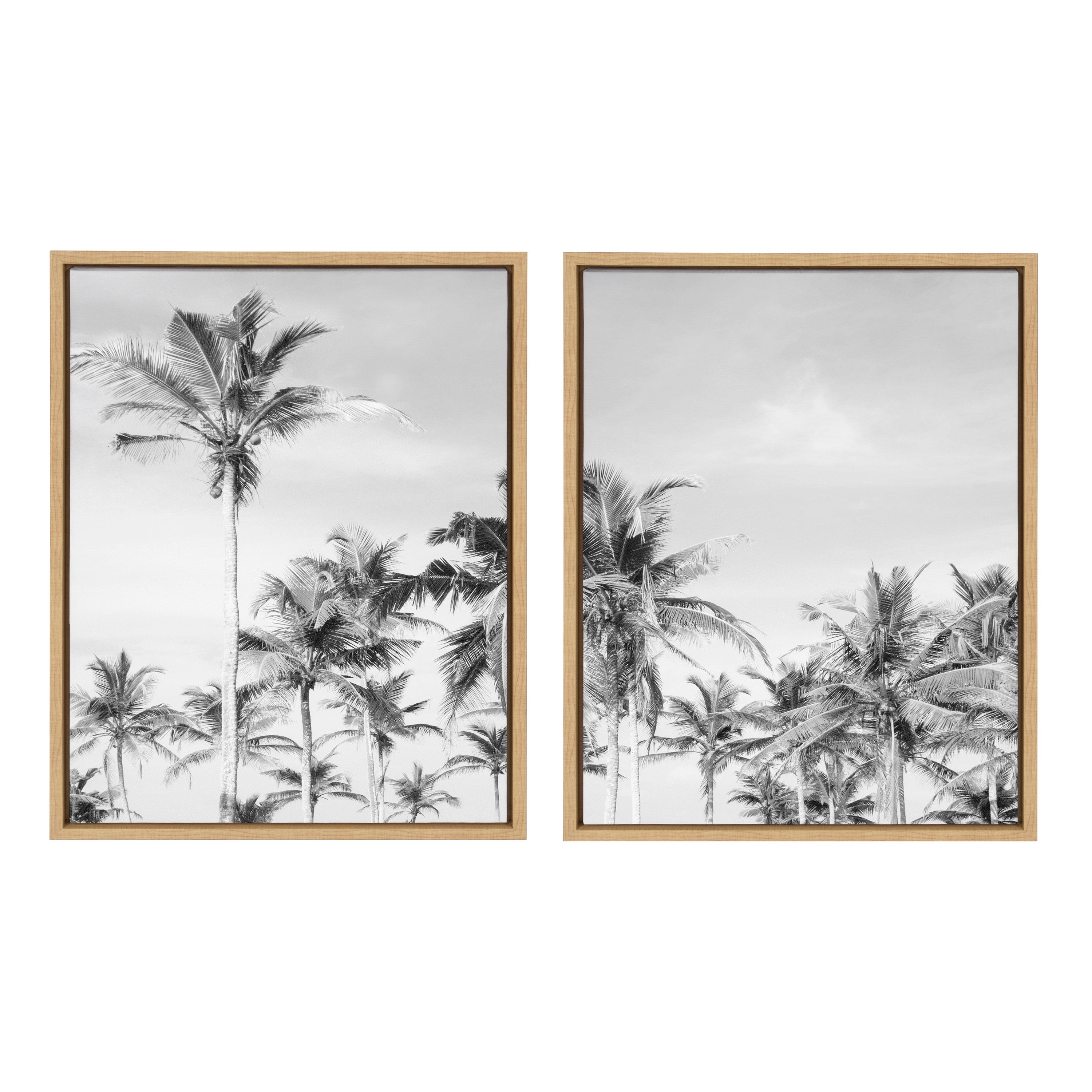 Sylvie Coastal Coconut Palm Tree Beach BW Framed Canvas Set by The