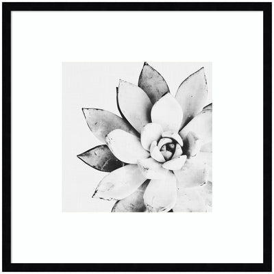 Modern Succulent by Tai Prints Framed Wall Art Print