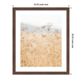 Soft-focus photograph of beige wild fennel clusters in a brown wooden frame with white matting, measuring 22 by 26 inches outer size.