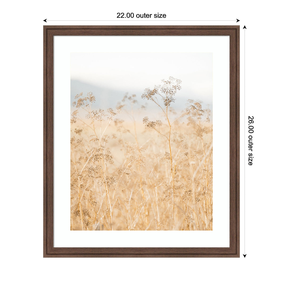 Soft-focus photograph of beige wild fennel clusters in a brown wooden frame with white matting, measuring 22 by 26 inches outer size.