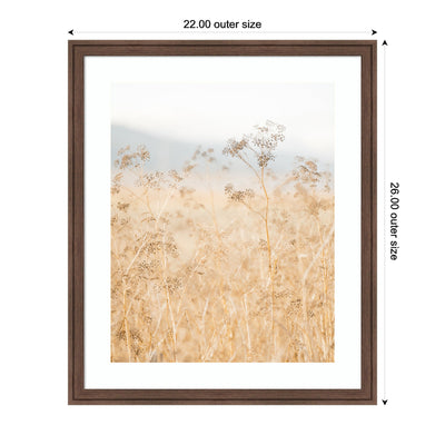 Framed Art Wild Fennel by Crystal Lynn Collins