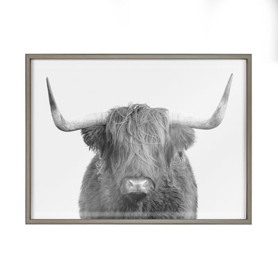 Blake Highland Cow Portrait Framed Printed Art by Amy Peterson Art Studio