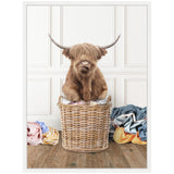 Long-haired Highland cow sitting inside a woven laundry basket with colorful laundry spilling out on a wood floor against a white paneled wall.