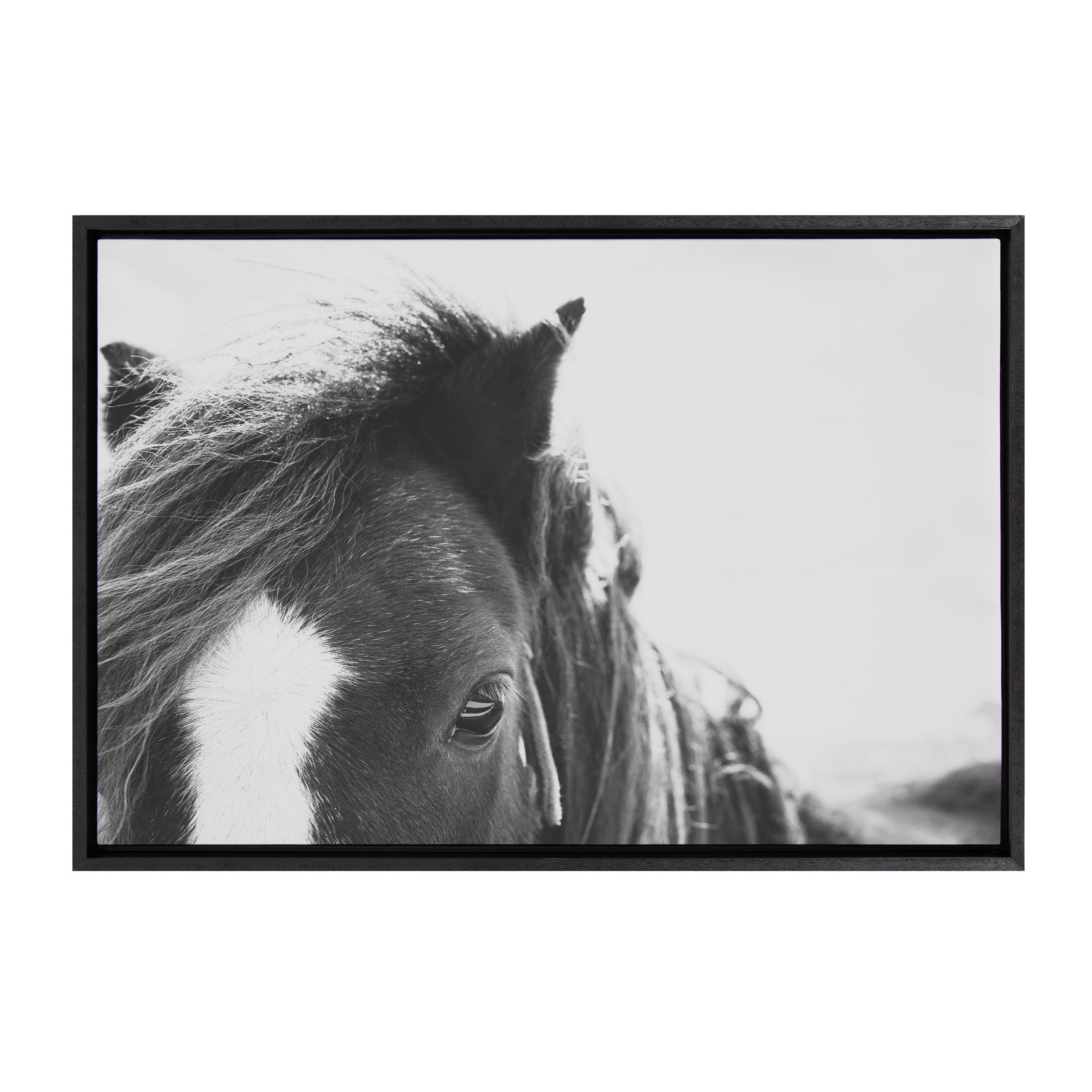 Sylvie Noble BW Framed Canvas by kateandlaurel - product image 13 for Resin Society