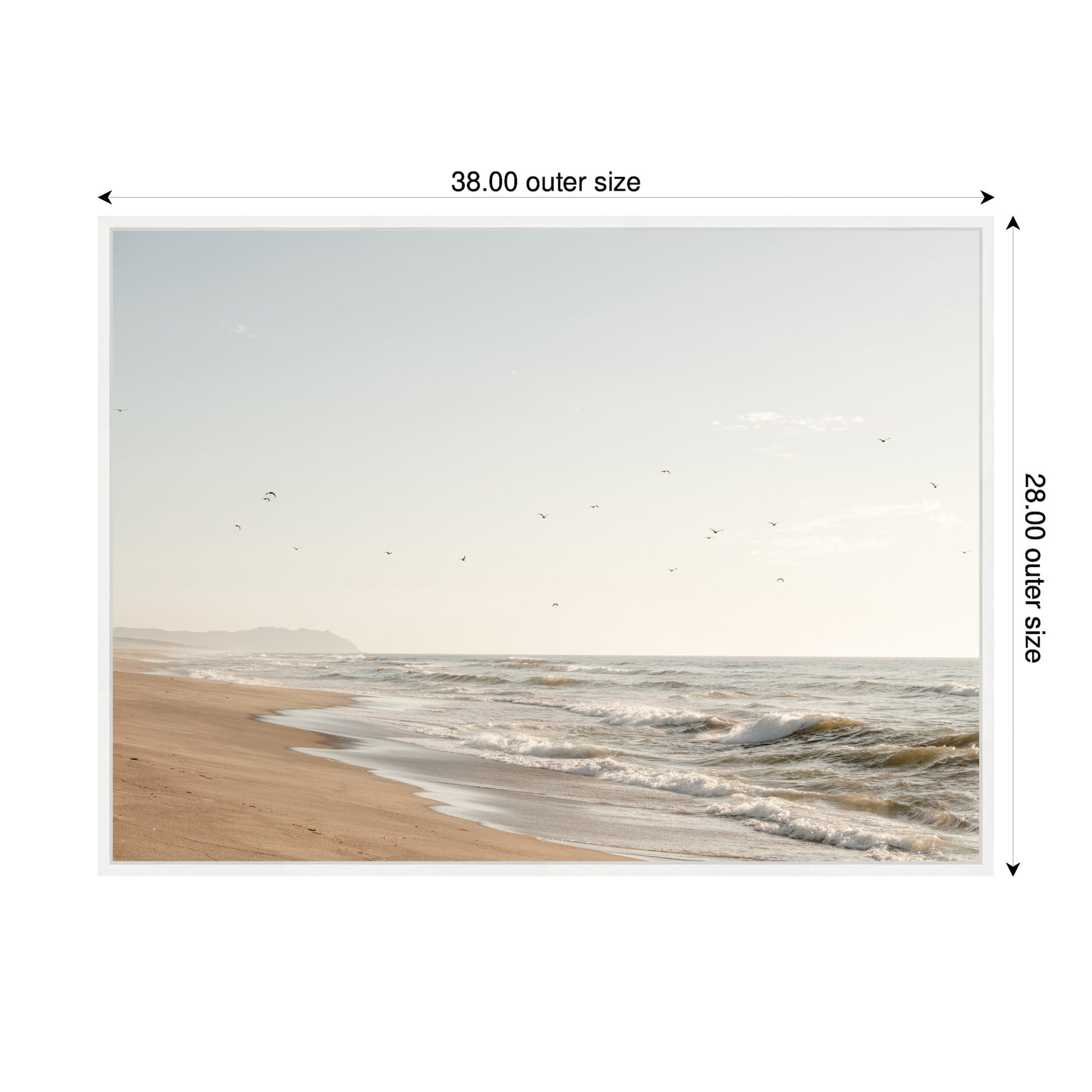 Sylvie Coastal Flight Framed Canvas by Crystal Lynn Collins