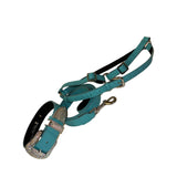 Gorgeous turquoise blue embossed croc Italian leather dog collar, leash, and harness set with sparkling Swarovski crystal hardware
