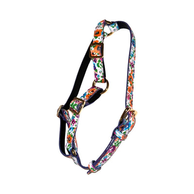 Poppy & Pansy Italian Leather Luxury Harness on medium-sized dog in floral pattern