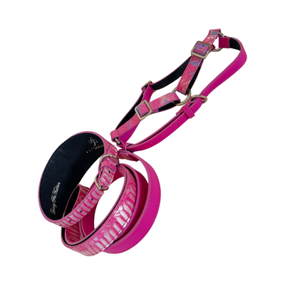 Pavé In Pink Authentic Iridescent Snake 3-Inch Wide Style Statement Collar, Leash, Harness Set
