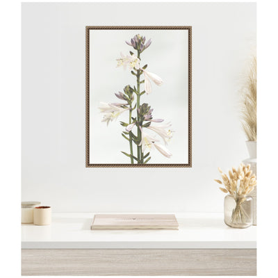 Sylvie Hosta Framed Canvas by Alicia Abla