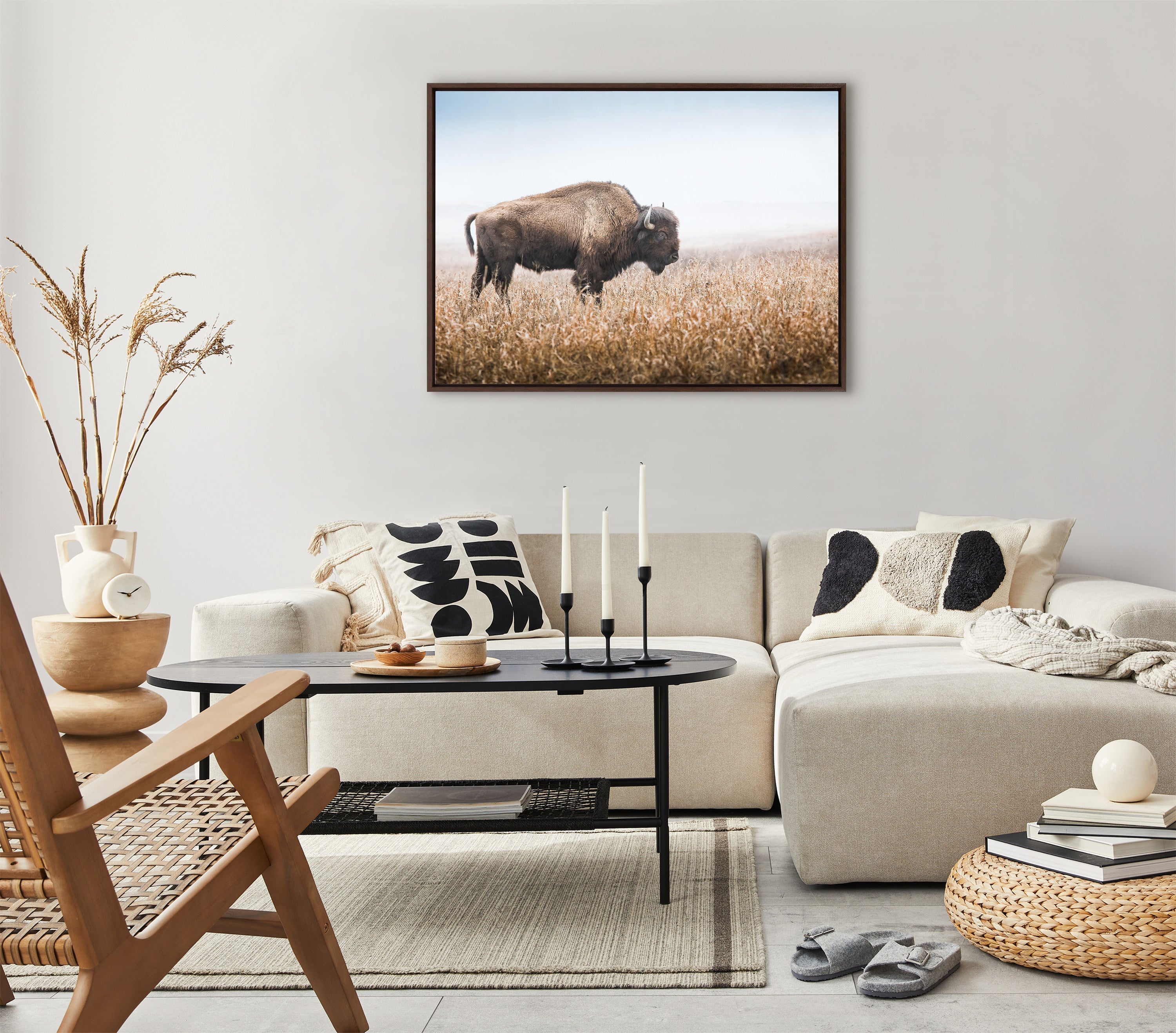 Sylvie American Bison Buffalo in Prairie Grass Framed Canvas by Warren Metcalf