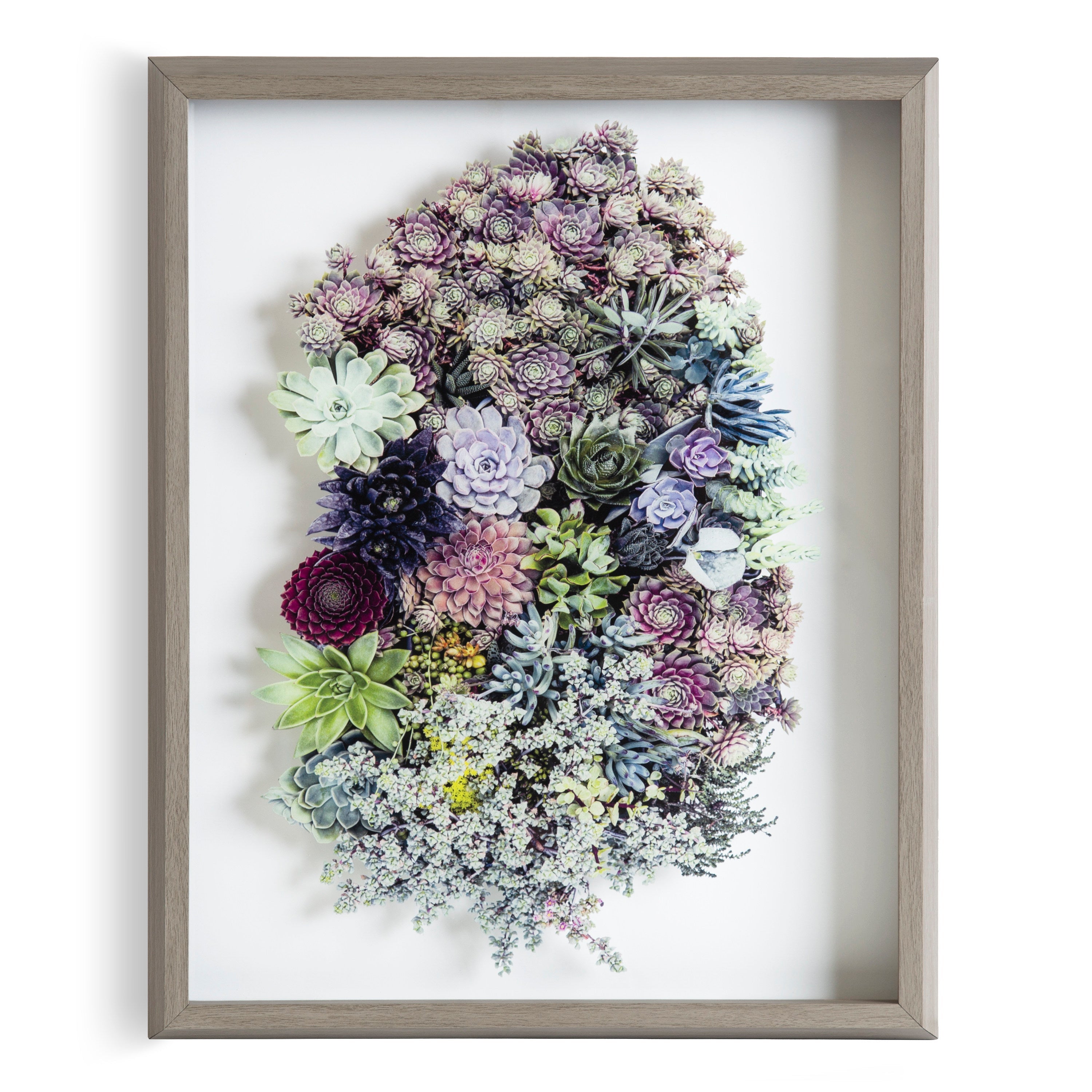 Blake Colony 1 Framed Printed Glass by kateandlaurel - product image 2 for Resin Society