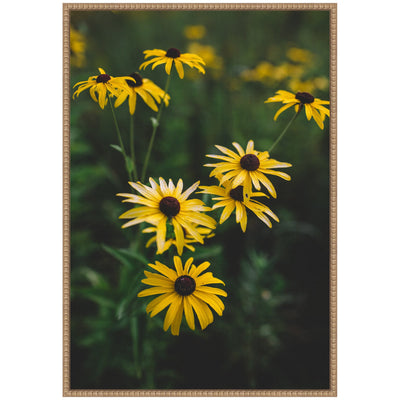 Sylvie Yellow Daisy Floral Blooms Framed Canvas by Patricia Hasz
