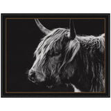 Black and white close-up profile of a Scottish Highland cow with long shaggy hair and prominent curved horns against a dark background, framed in black.