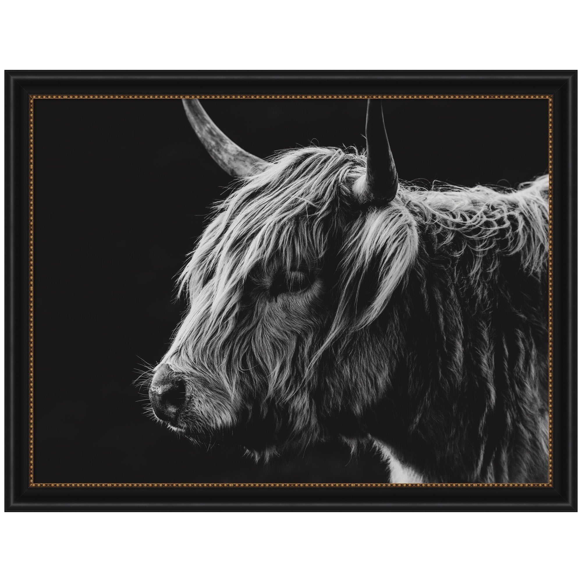 Scottish Highland by Crystal Lynn Collins Framed Wall Art Print