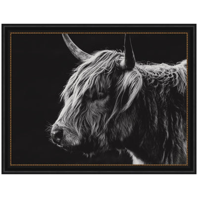 Scottish Highland by Crystal Lynn Collins Framed Wall Art Print