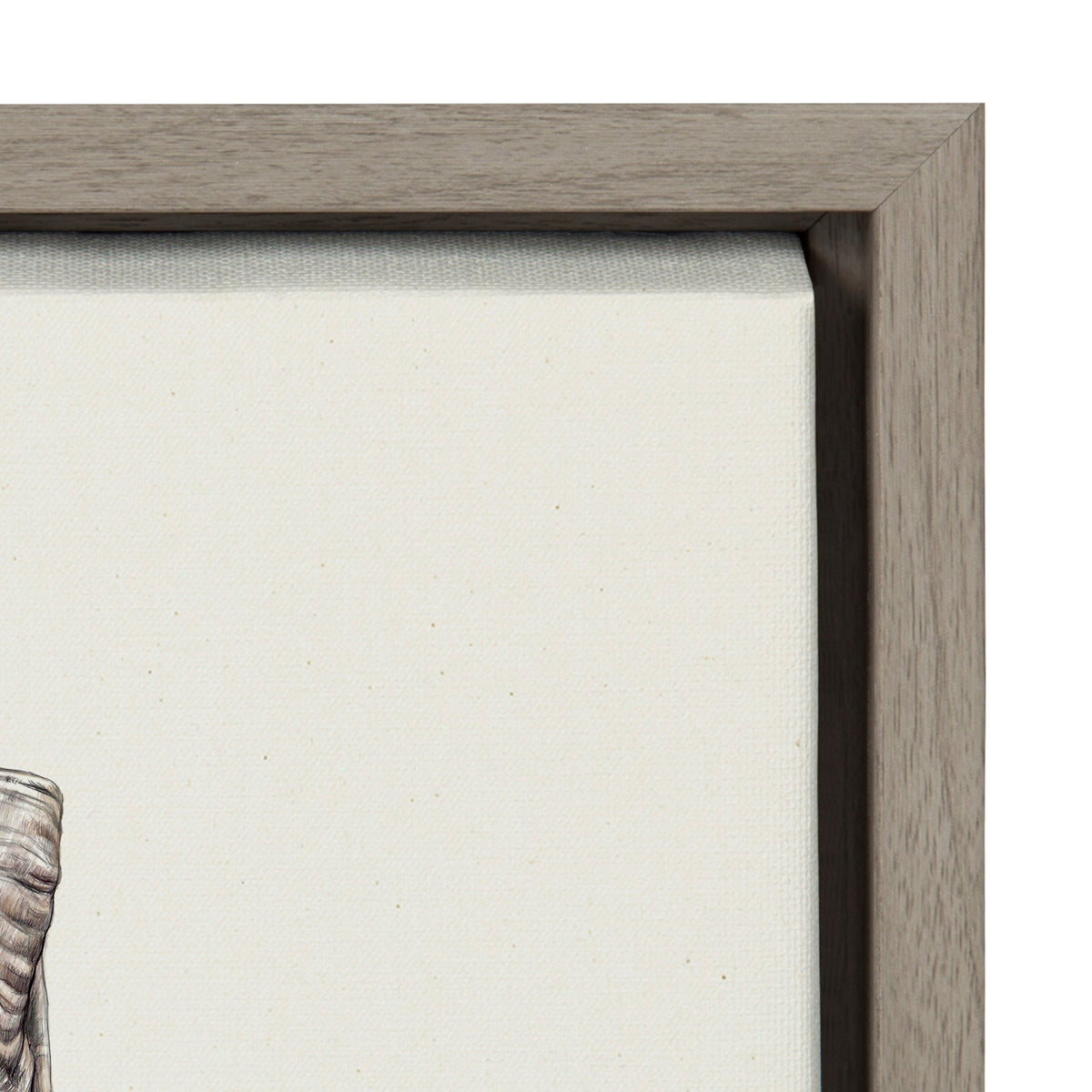 Close-up of a neutral gray wooden frame corner surrounding an off-white canvas with a small portion of a ram's horn in muted brown and gray tones visible at the edge.