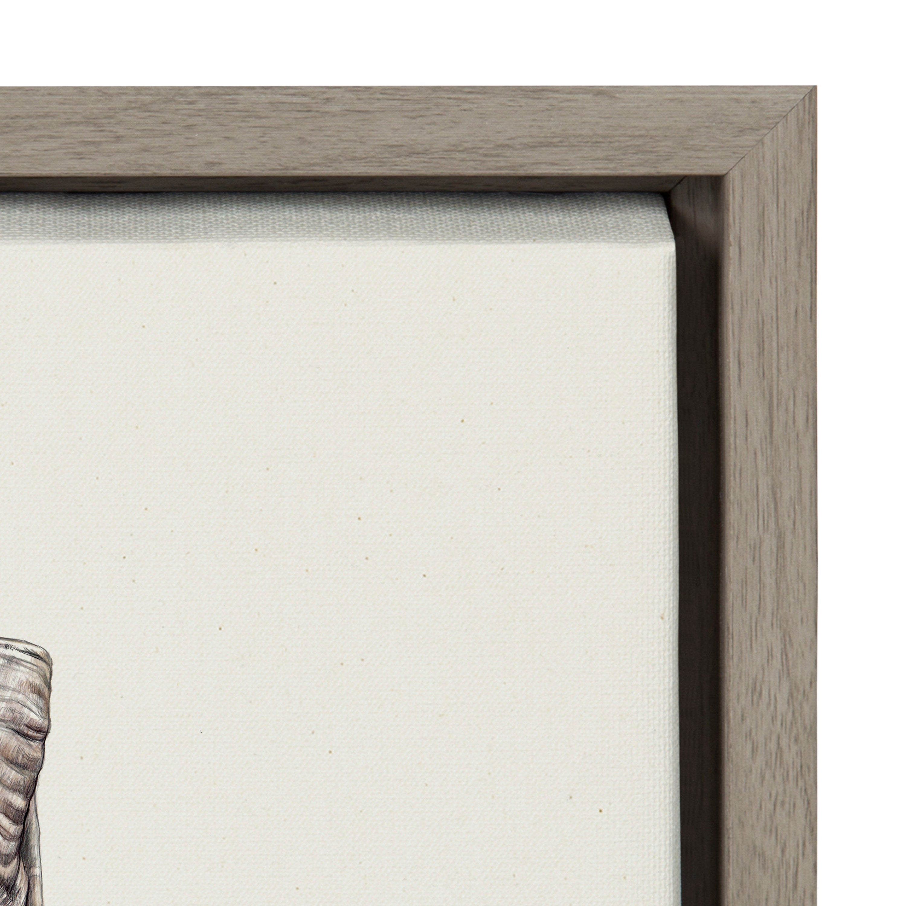 Sylvie Ram Framed Canvas by Ron Dunn