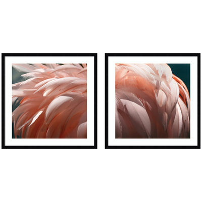 Flamingo No.
1 & 2 2 Piece Framed Wall Art Print Set by Alicia Bock in Svelte Noir Black frames