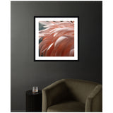 Close-up photograph of soft pink flamingo feathers with delicate layering, framed in black and hanging on a dark gray wall above an olive green armchair and small black side table